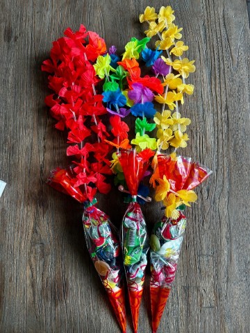 34609735510621286880932517725785917965313093n